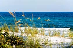 Beach-and-Sea-Oats,-Town-of-Watercolor,-Rt-30A,-Florida,-USA